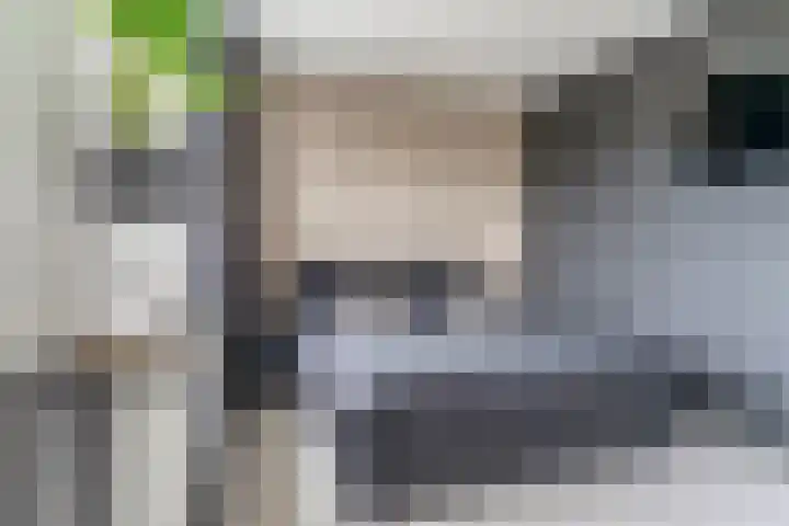 Robert Josephstraat 32 Duiven thumbnail 24
