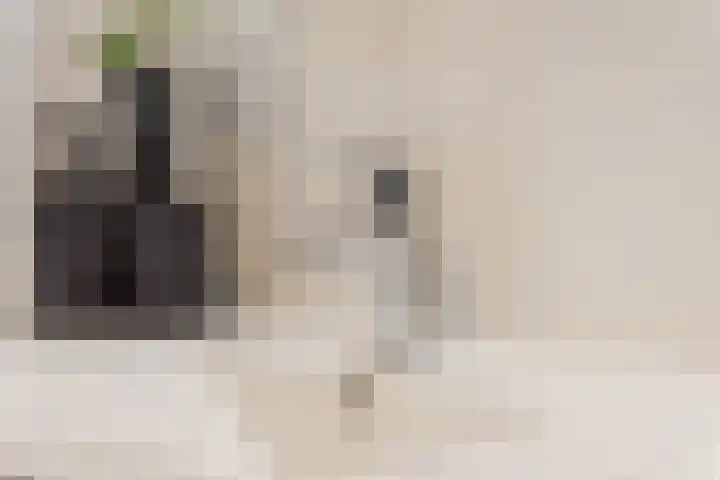 Robert Josephstraat 32 Duiven thumbnail 29