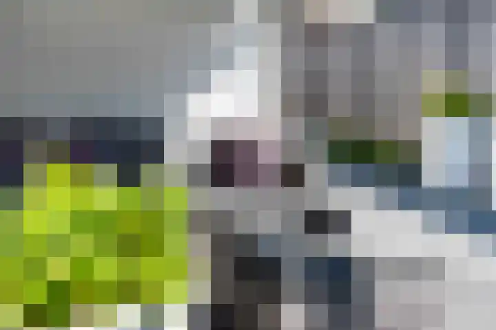 Robert Josephstraat 32 Duiven thumbnail 35