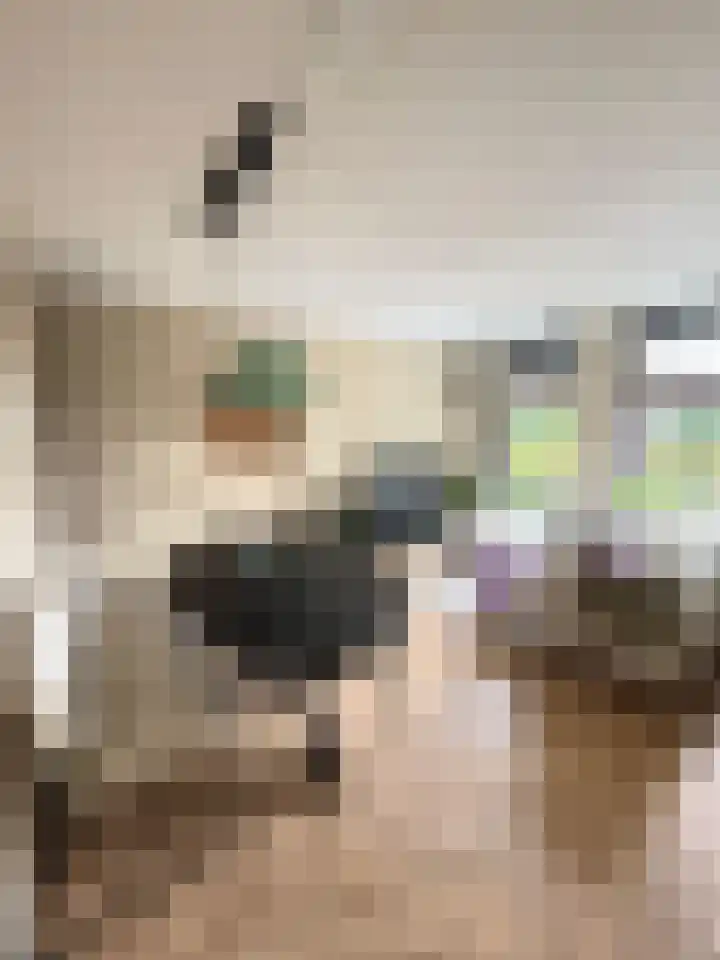 Robert Josephstraat 43 Duiven thumbnail 12