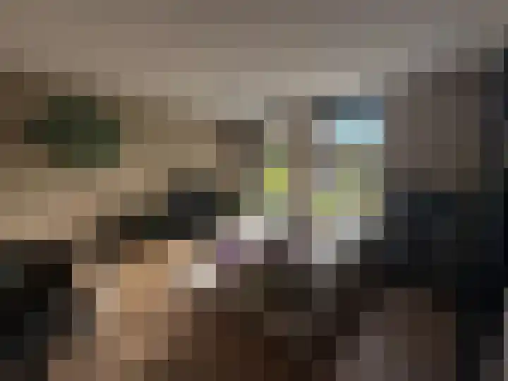 Robert Josephstraat 43 Duiven thumbnail 16