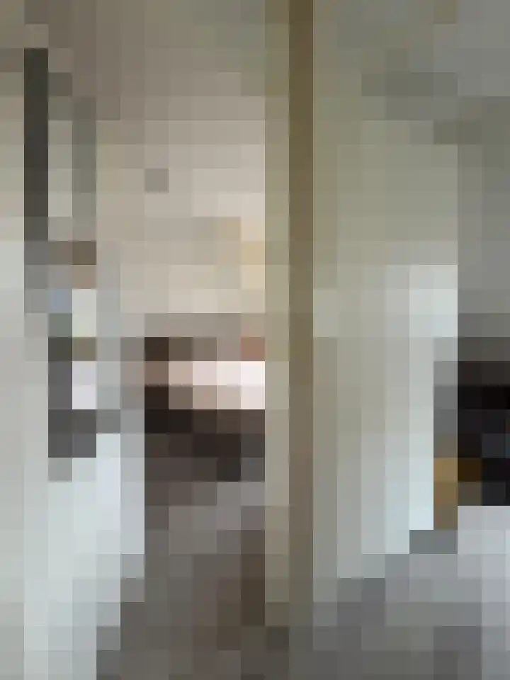 Robert Josephstraat 43 Duiven thumbnail 17