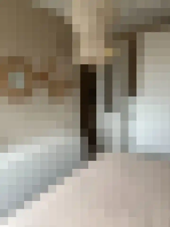 Robert Josephstraat 43 Duiven thumbnail 20