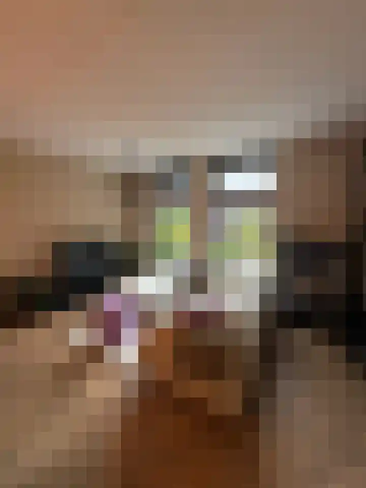 Robert Josephstraat 43 Duiven thumbnail 7