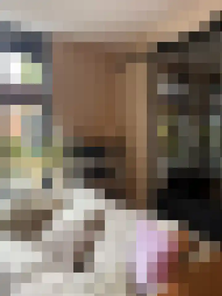 Robert Josephstraat 43 Duiven thumbnail 8
