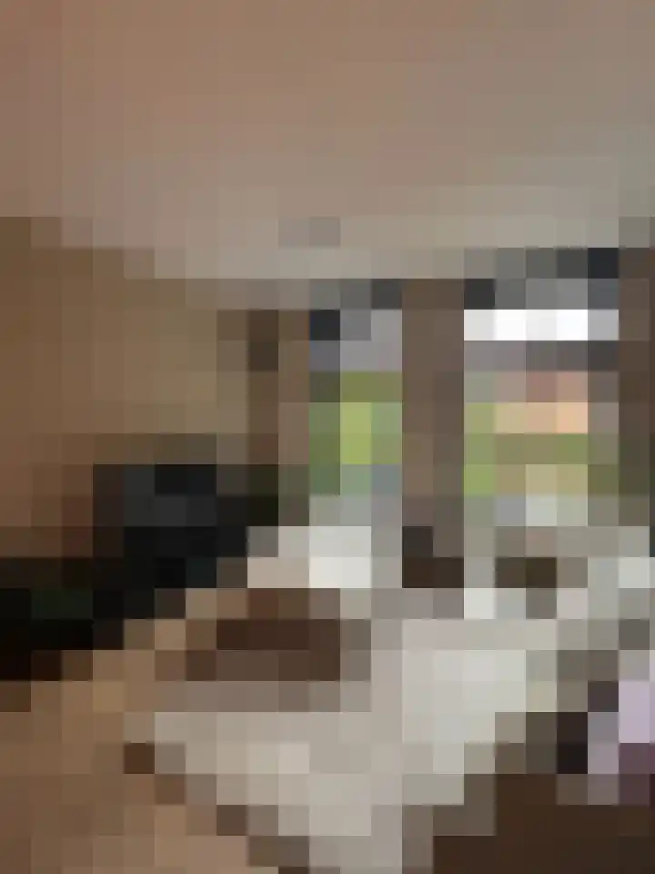 Robert Josephstraat 43 Duiven thumbnail 9