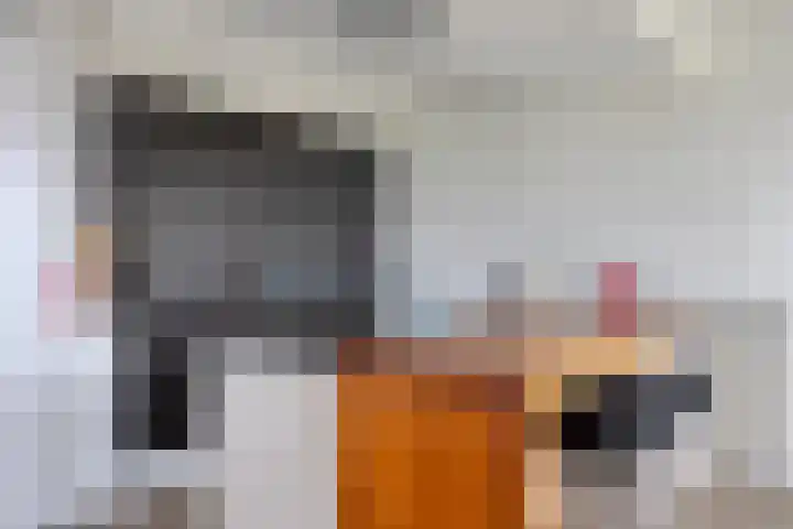 Robert Josephstraat 9 Duiven thumbnail 21
