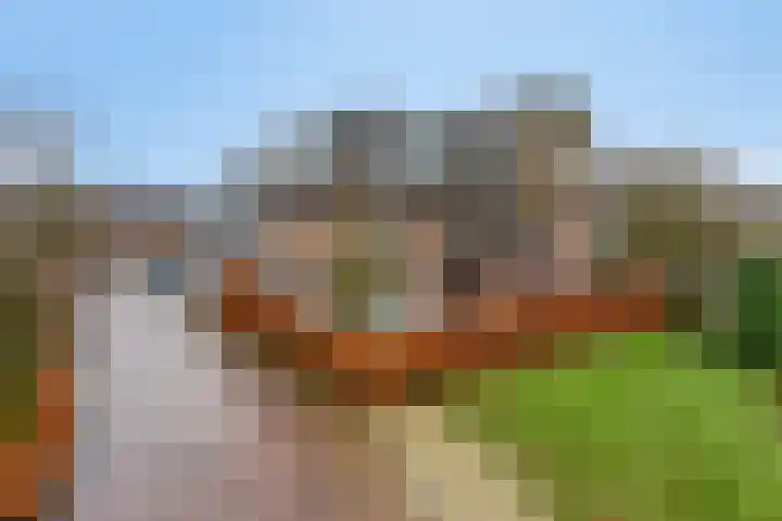 Robert Josephstraat 9 Duiven thumbnail 33