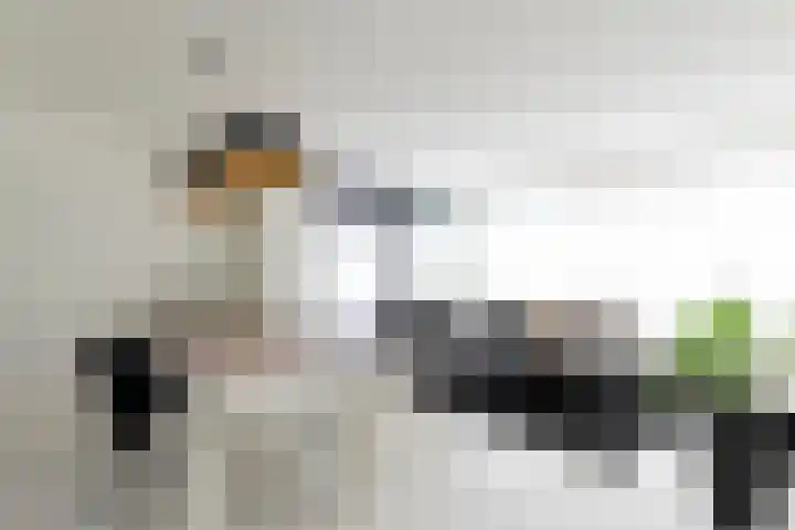 Robert Kochlaan 104 D Haarlem thumbnail 12