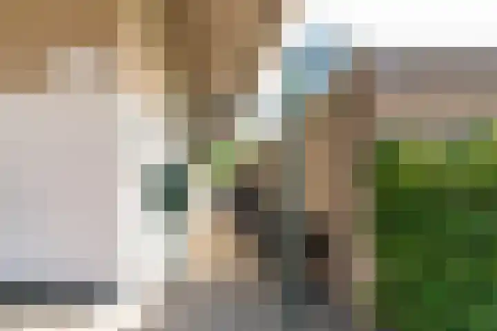 Robert Kochlaan 104 D Haarlem thumbnail 28