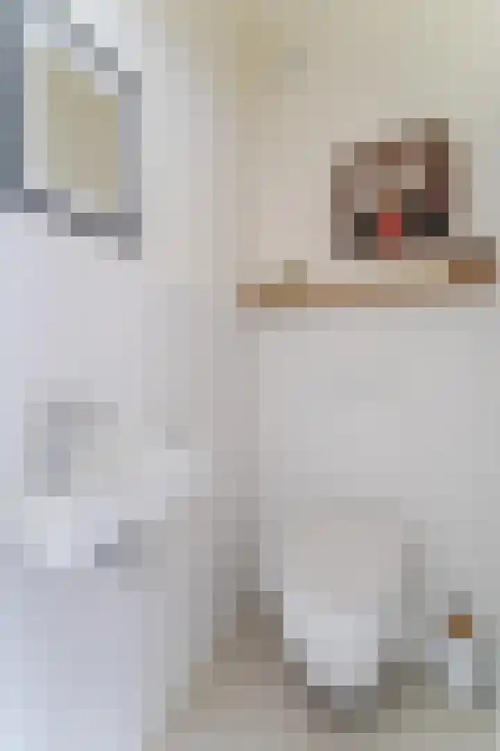 Robert Kochlaan 12 Vleuten thumbnail 20