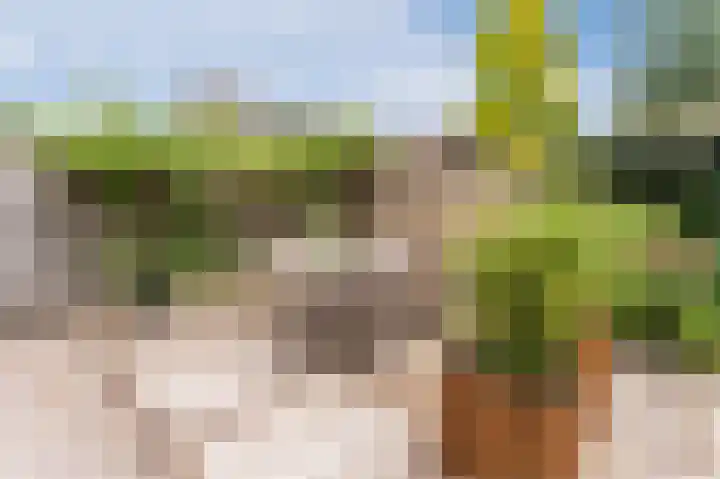 Robert Kochlaan 12 Vleuten thumbnail 36
