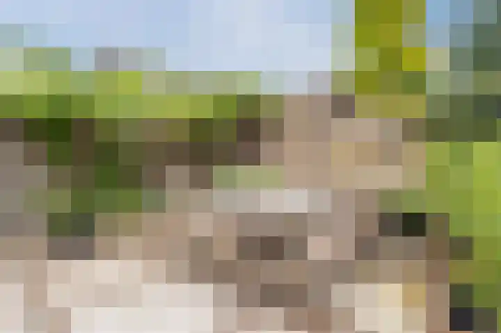 Robert Kochlaan 12 Vleuten thumbnail 37
