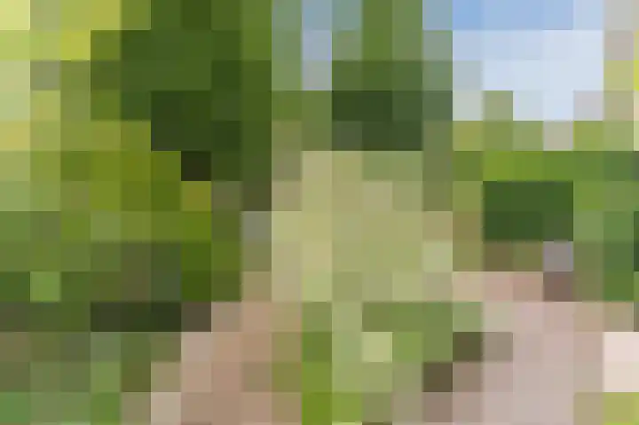 Robert Kochlaan 12 Vleuten thumbnail 6