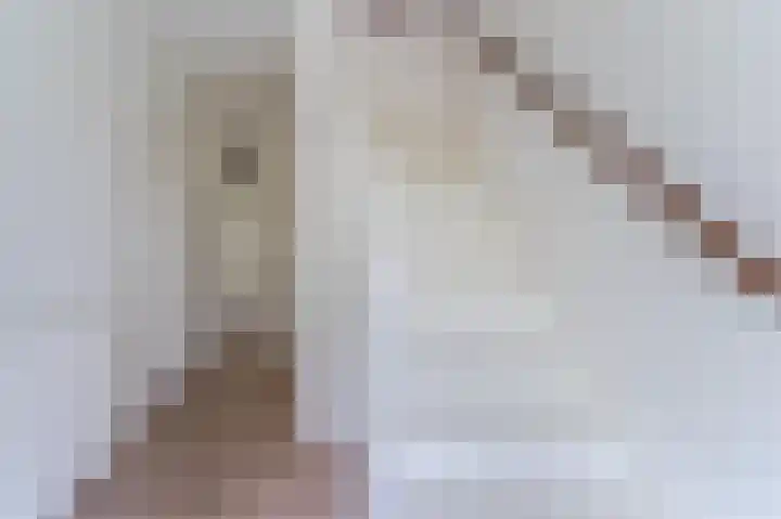 Robert Kochlaan 12 Vleuten thumbnail 7