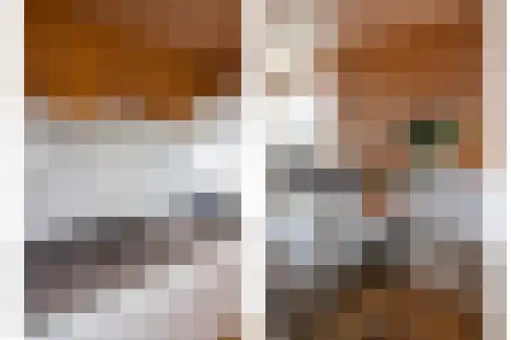 Robert Kochlaan 178 Haarlem thumbnail 21
