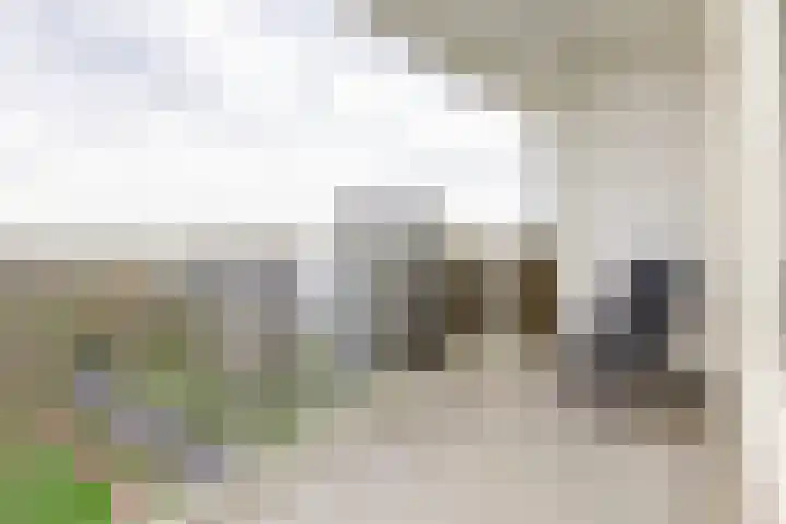 Robert Kochlaan 178 Haarlem thumbnail 30