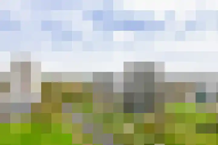 Robert Kochlaan 178 Haarlem thumbnail 31