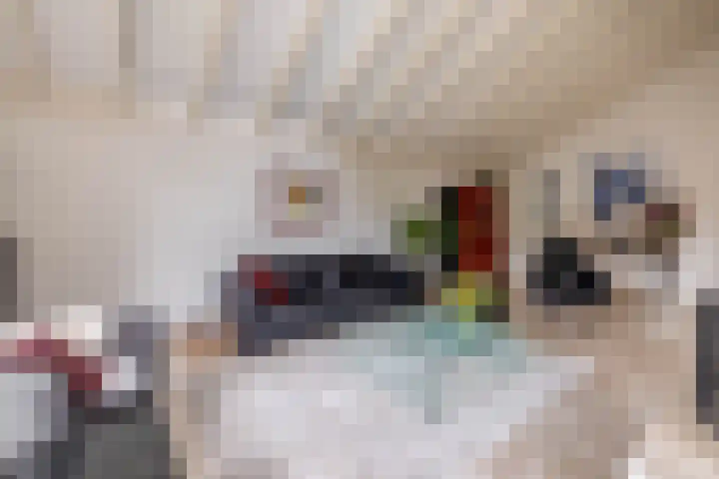 Robert Kochlaan 20 Schoonhoven thumbnail 13