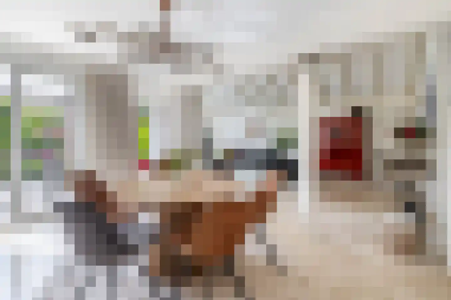 Robert Kochlaan 20 Schoonhoven thumbnail 16