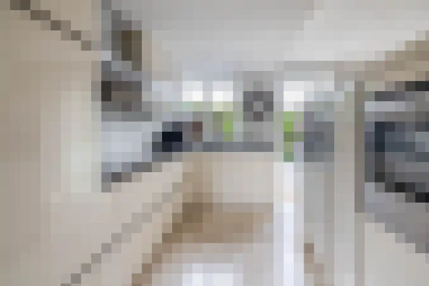 Robert Kochlaan 20 Schoonhoven thumbnail 17