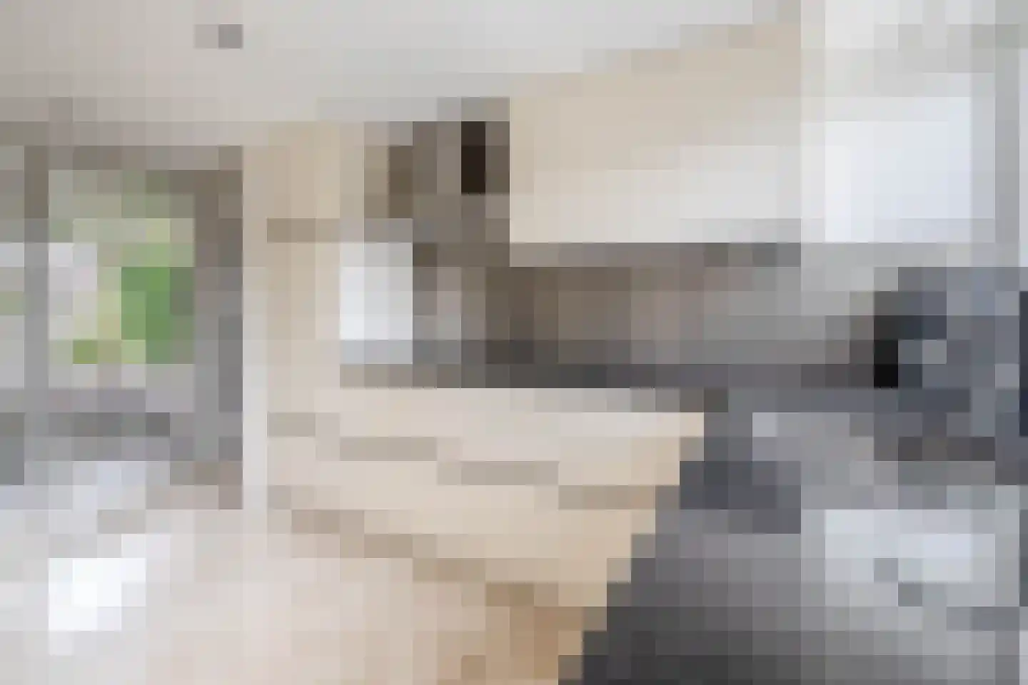 Robert Kochlaan 20 Schoonhoven thumbnail 18