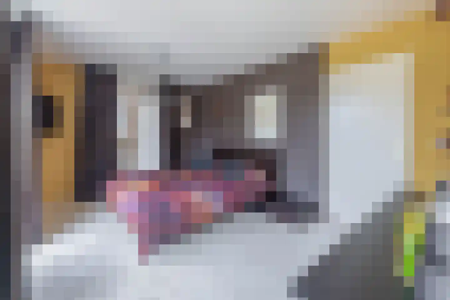 Robert Kochlaan 20 Schoonhoven thumbnail 22