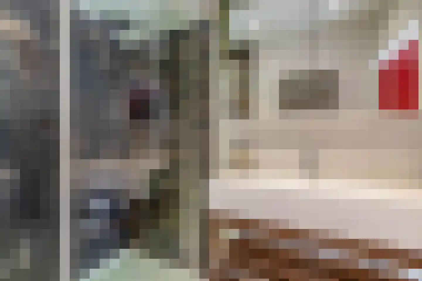 Robert Kochlaan 20 Schoonhoven thumbnail 25