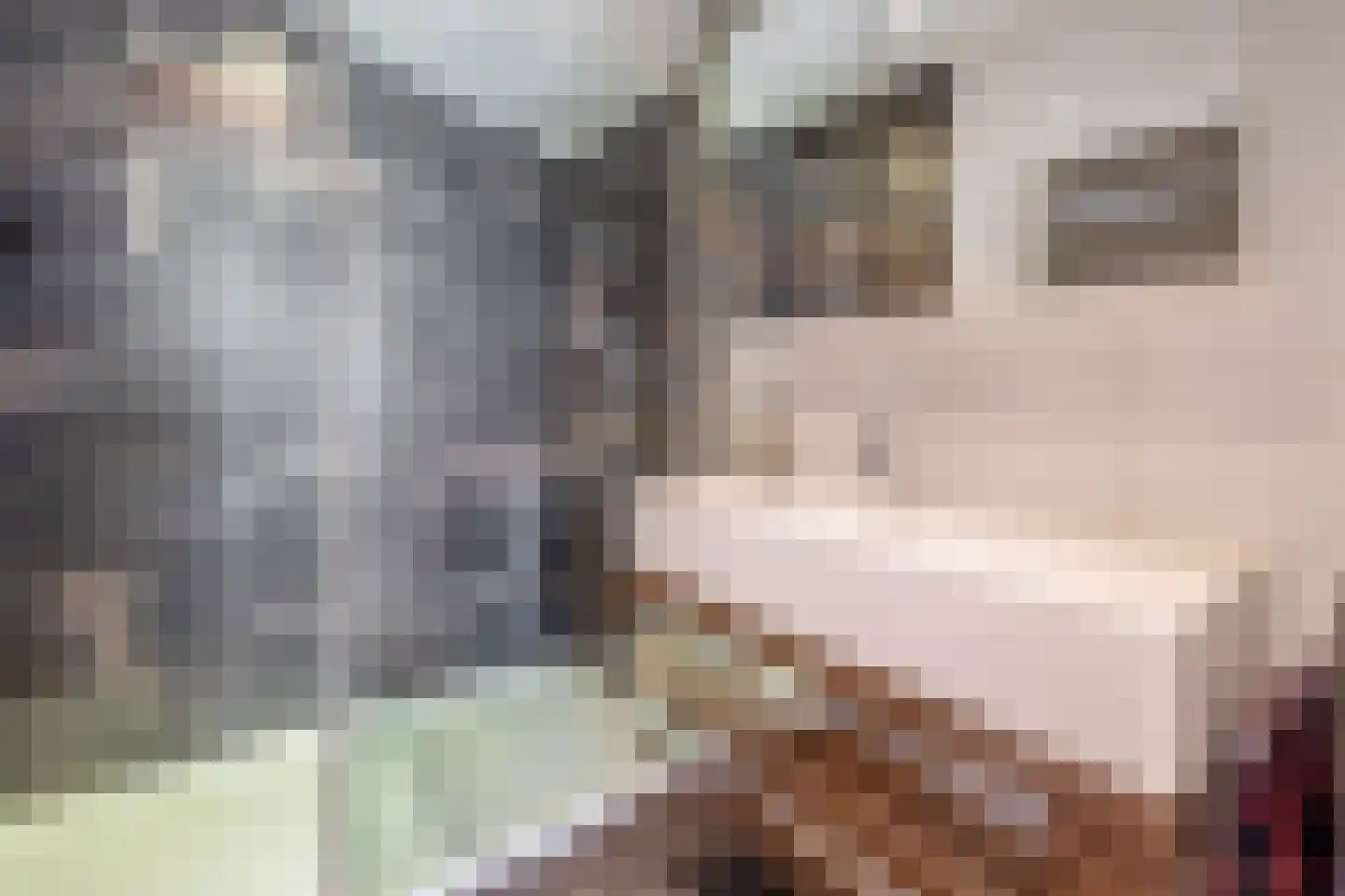 Robert Kochlaan 20 Schoonhoven thumbnail 26