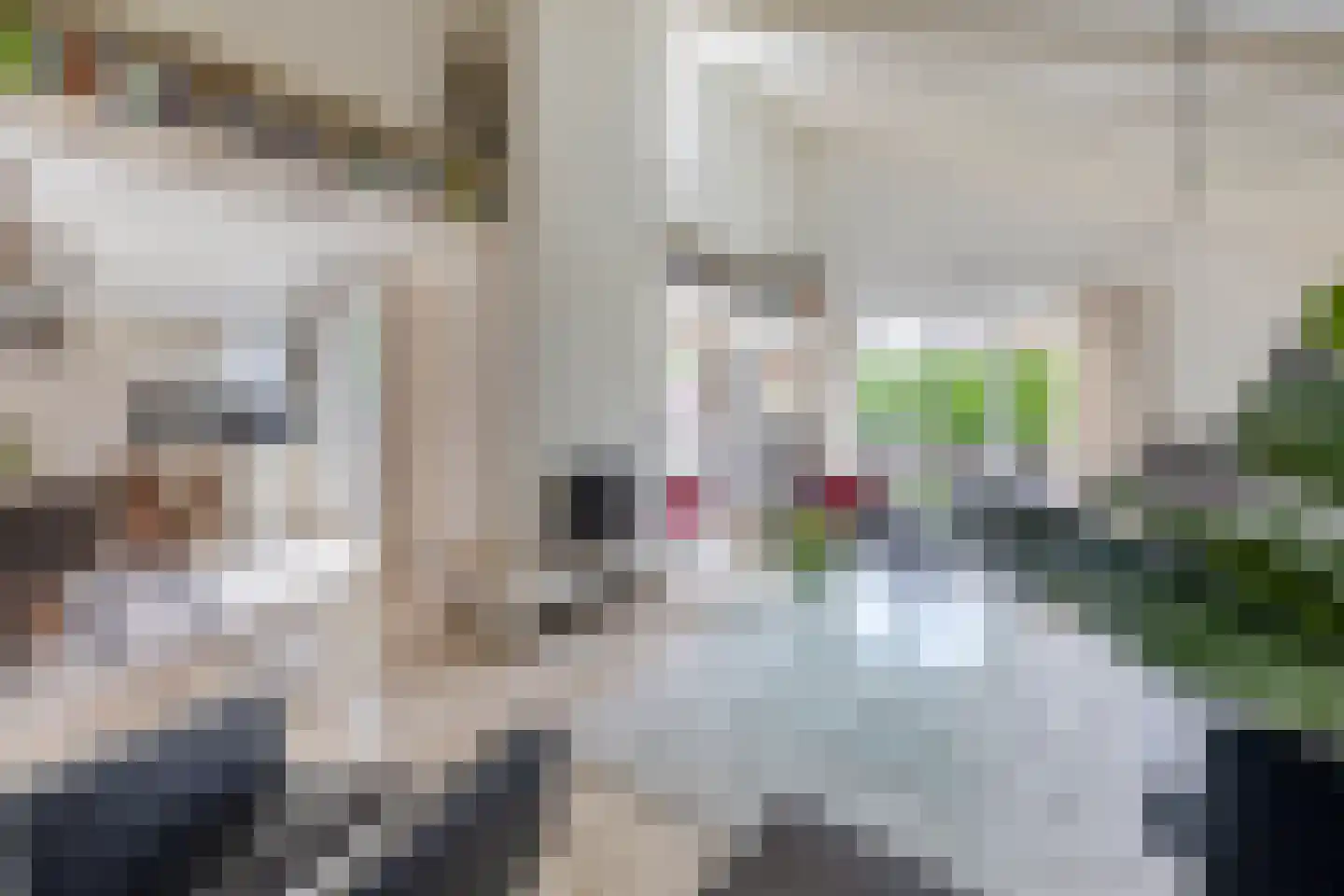Robert Kochlaan 20 Schoonhoven thumbnail 9