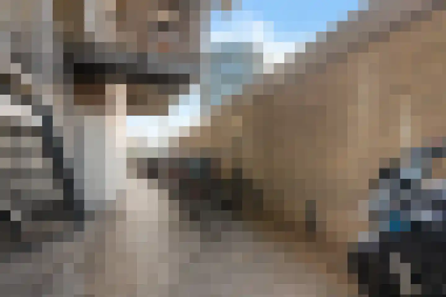 Robert Kochlaan 212 Haarlem thumbnail 33