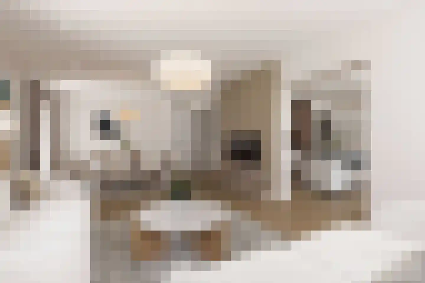 Robert Kochlaan 212 Haarlem thumbnail 5