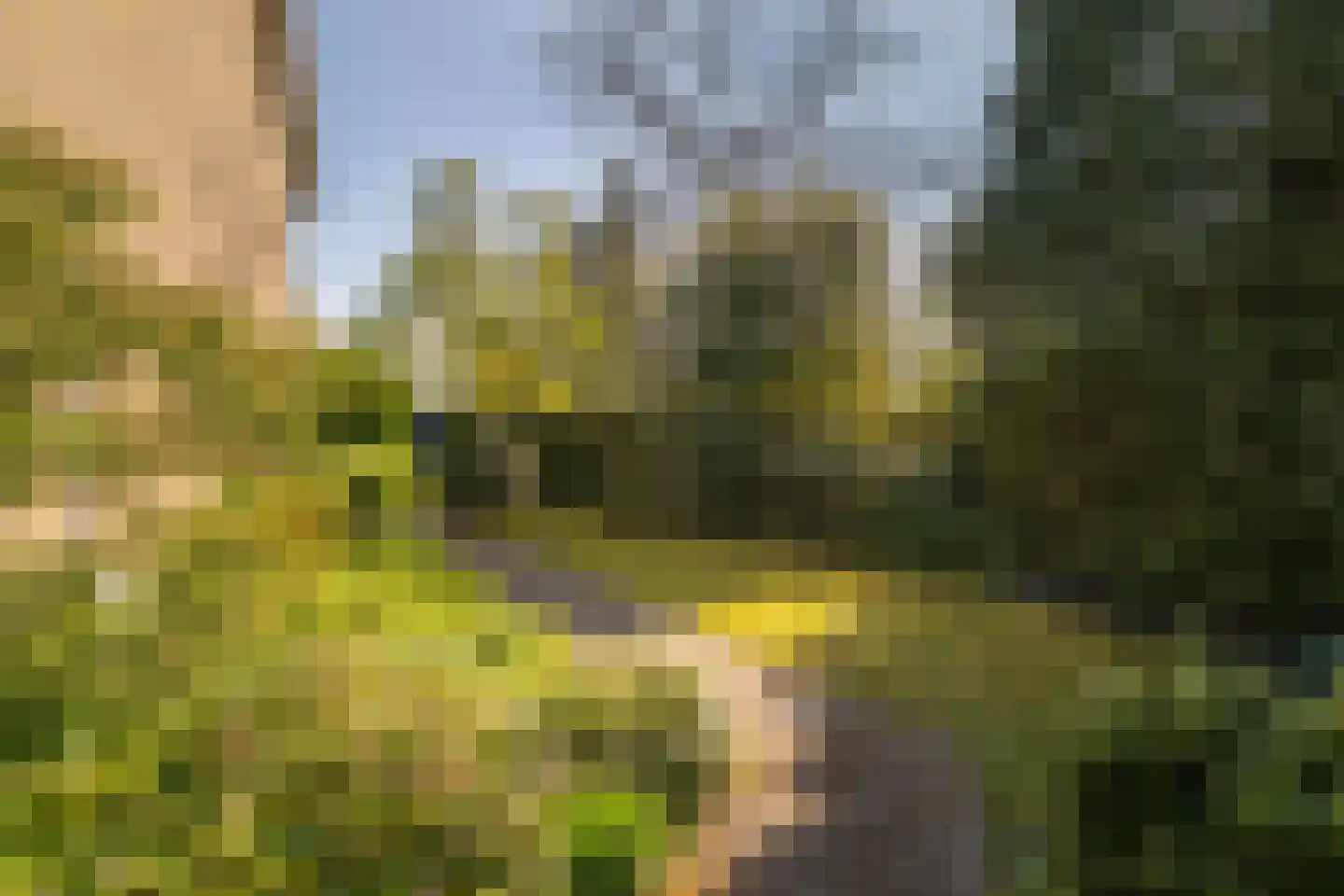 Robert Kochlaan 3 Deventer thumbnail 27