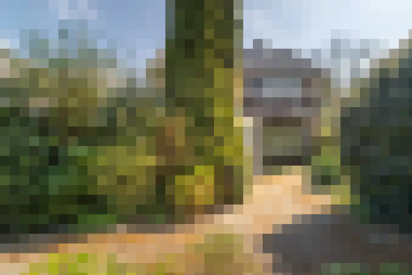 Robert Kochlaan 3 Deventer thumbnail 28