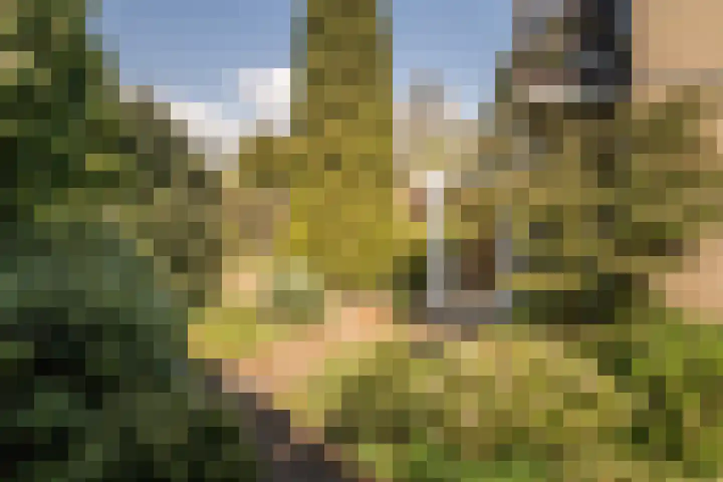 Robert Kochlaan 3 Deventer thumbnail 29