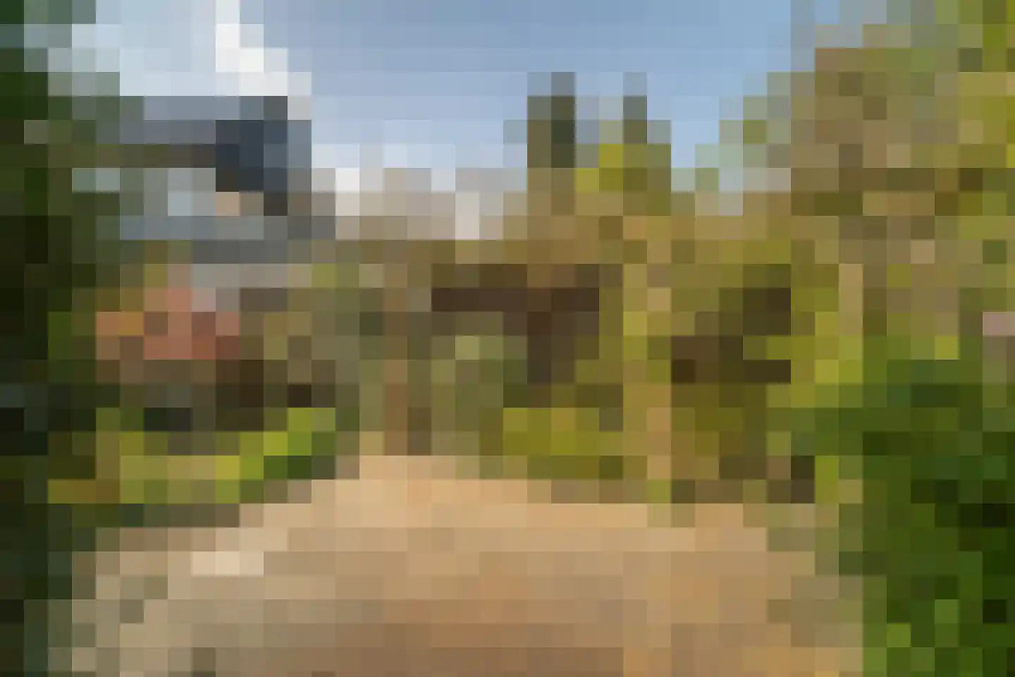 Robert Kochlaan 3 Deventer thumbnail 31