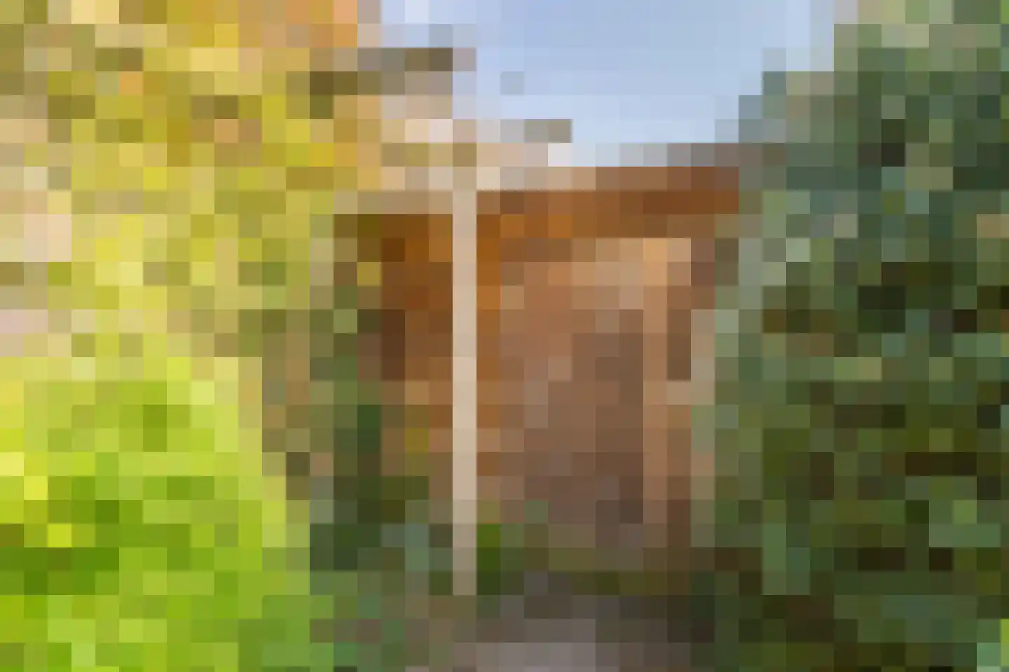 Robert Kochlaan 3 Deventer thumbnail 33