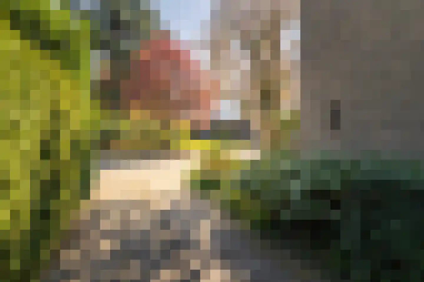 Robert Kochlaan 3 Deventer thumbnail 35