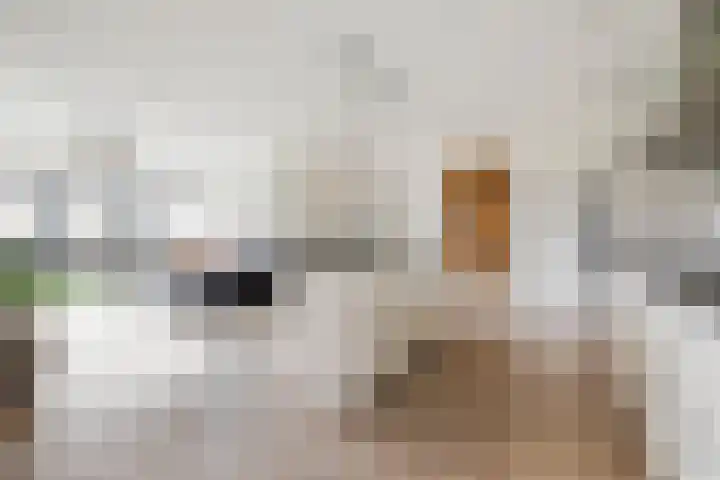 Robert Kochlaan 326 B Haarlem thumbnail 10