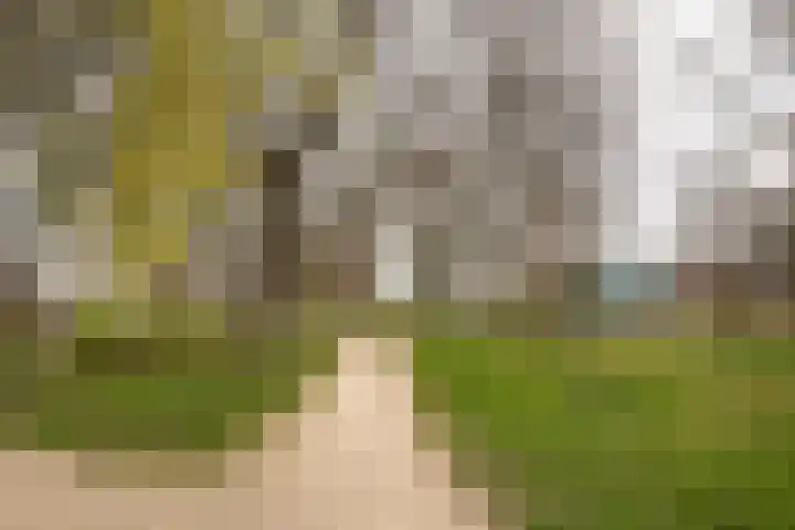 Robert Kochlaan 326 B Haarlem thumbnail 23