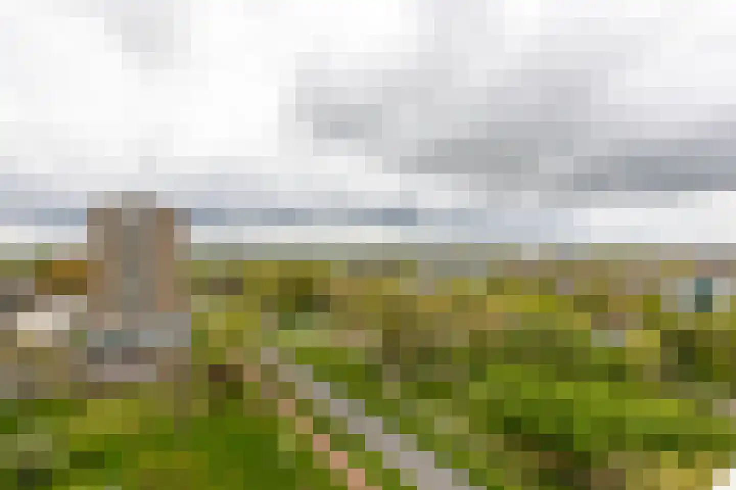 Robert Kochlaan 390 Haarlem thumbnail 19