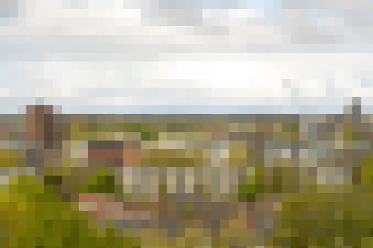Robert Kochlaan 390 Haarlem thumbnail 22