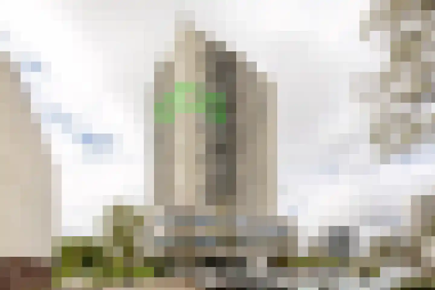 Robert Kochlaan 390 Haarlem thumbnail 25