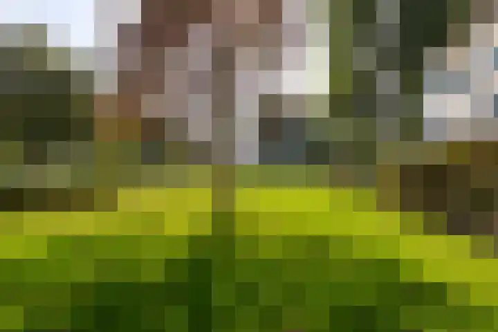 Robert Kochlaan 540 A Haarlem thumbnail 24