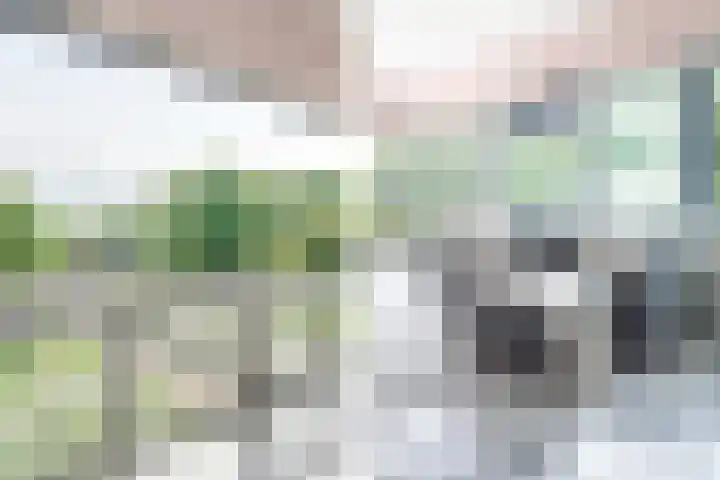 Robert Kochlaan 540 C Haarlem thumbnail 5