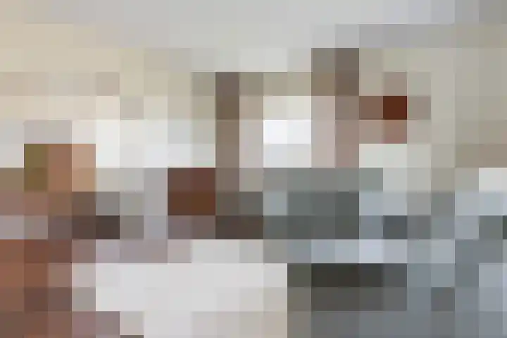 Robert Kochlaan 602 Haarlem thumbnail 11