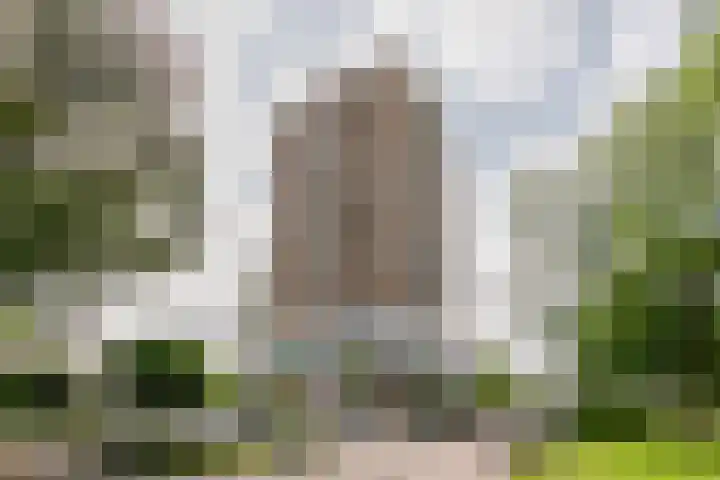 Robert Kochlaan 602 Haarlem thumbnail 5