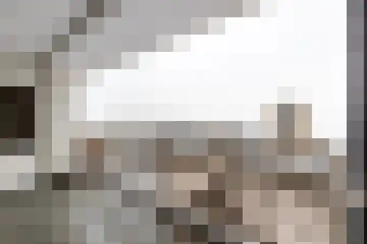 Robert Kochlaan 614 Haarlem thumbnail 17