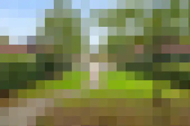 Robert Kochlaan 7 Bennekom thumbnail 10