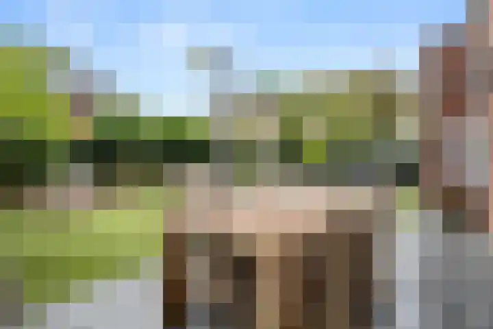Robert Kochlaan 7 Bennekom thumbnail 17